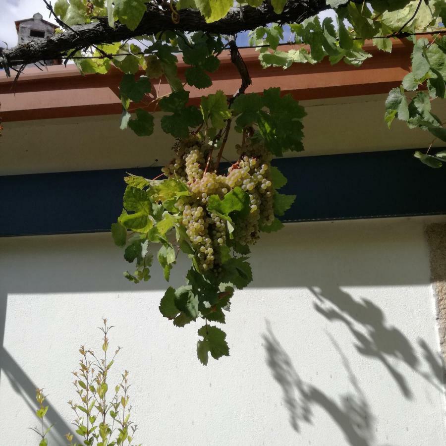 Casa Na Quinta De Valinhas Apartment Vitorino dos Piaes ภายนอก รูปภาพ